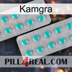 Kamgra 29